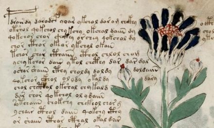 IL GIARDINO DI VOYNICH – CENTO PAROLE