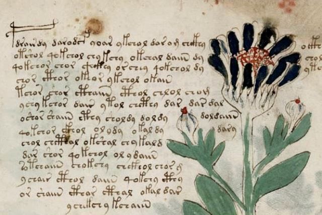 Il giardino di Voynich, di Giovanni Ortu