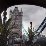 The day of the Triffids TV – 7